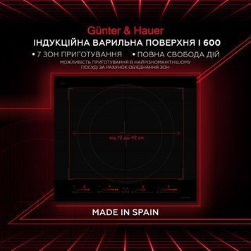 I 600: індукційна варильна поверхня Gunter & Hauer I600 фото